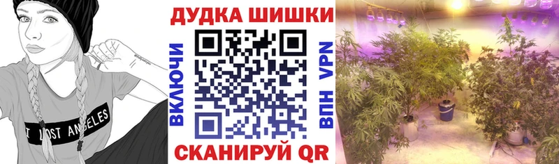 Канабис гибрид  дарнет шоп  Новое Девяткино 